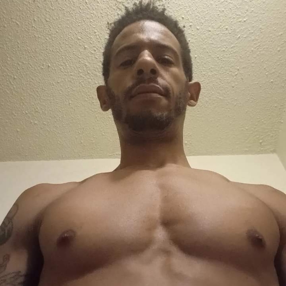 Meet your Posher, Ant - Picture 1 of 1